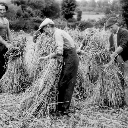 La Ferme Georgette *